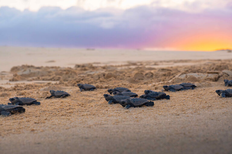 DSCF1276-Mejorado-NR-cmpr