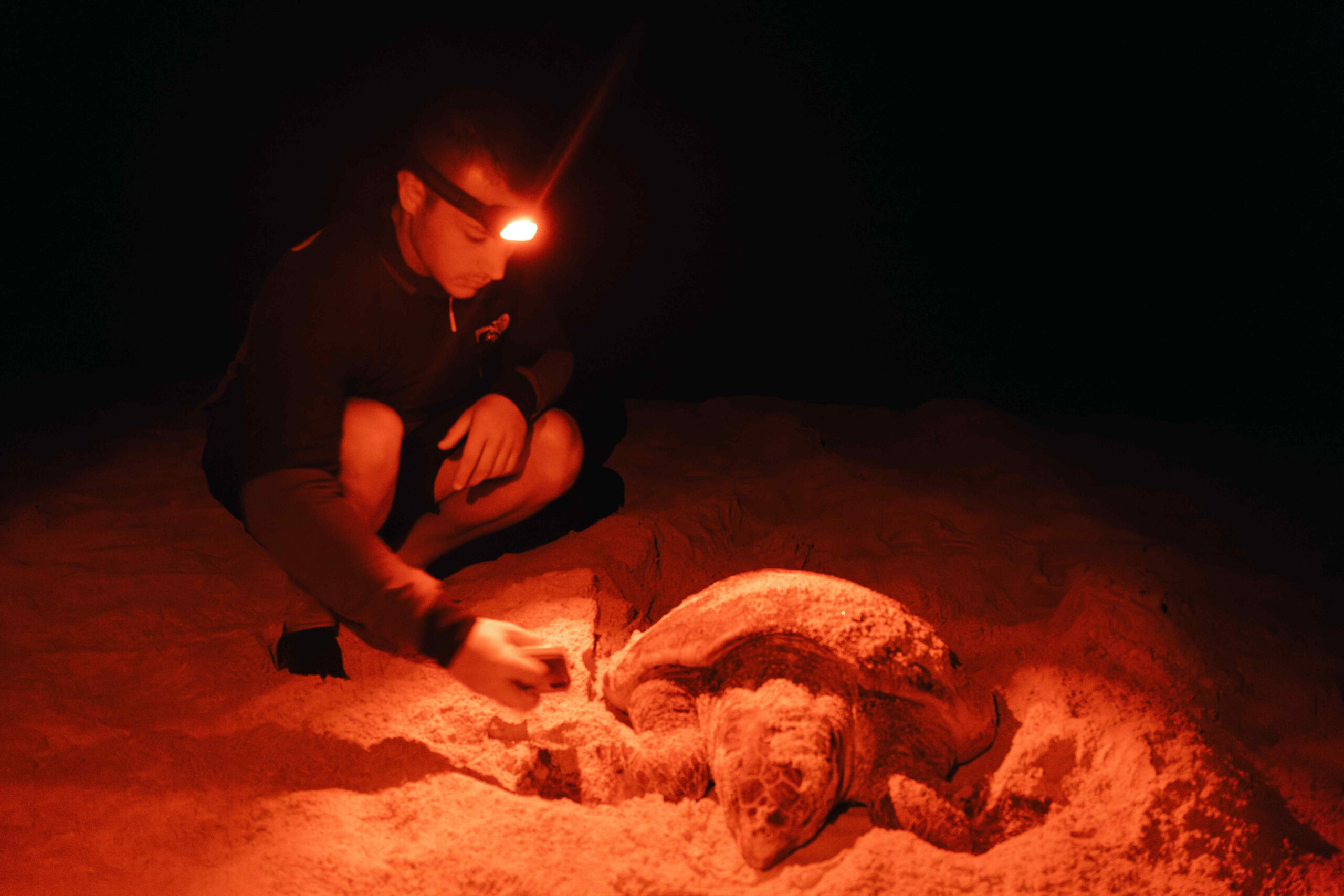 DSCF1371-Mejorado-NR-cmpr