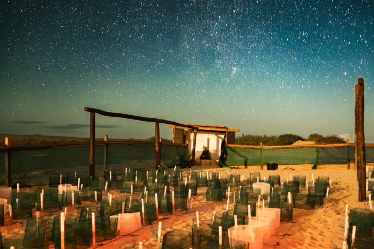 DSCF1639-Mejorado-NR-cmpr