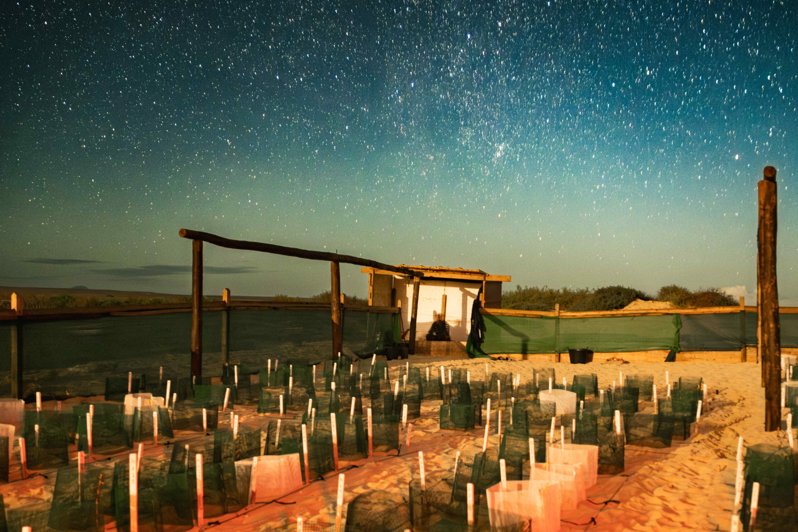 DSCF1639-Mejorado-NR-cmpr