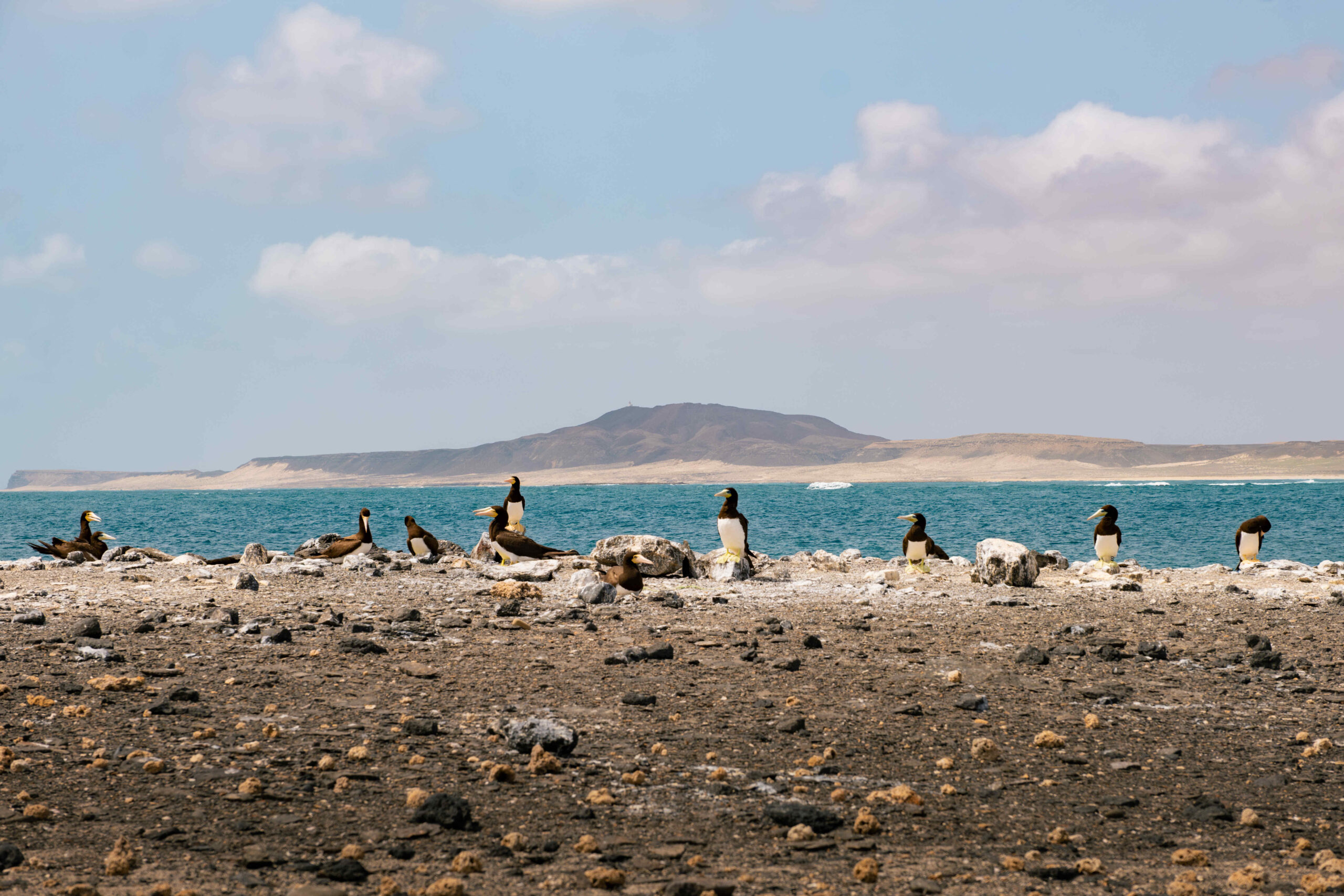 DSCF2252-Mejorado-NR-cmpr