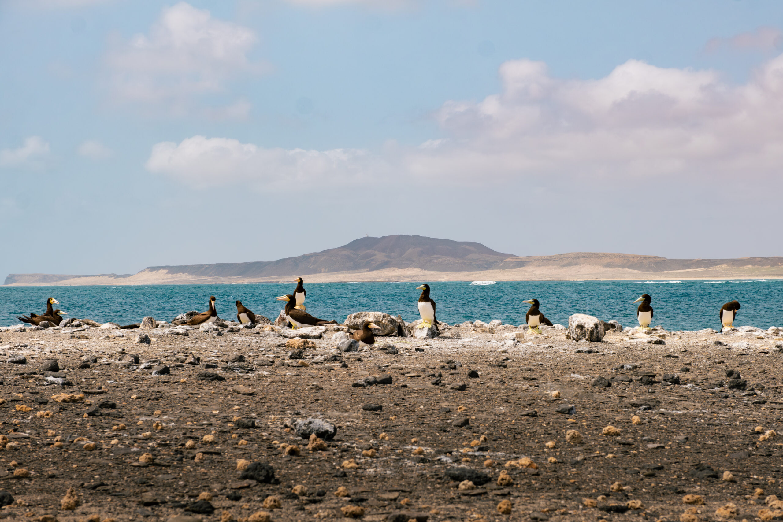 DSCF2252-Mejorado-NR