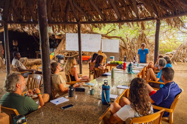 DSCF3586-Mejorado-NR-cmpr