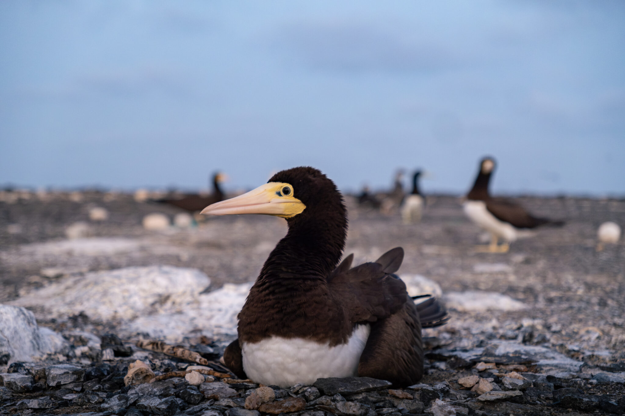 DSCF5790-Mejorado-NR