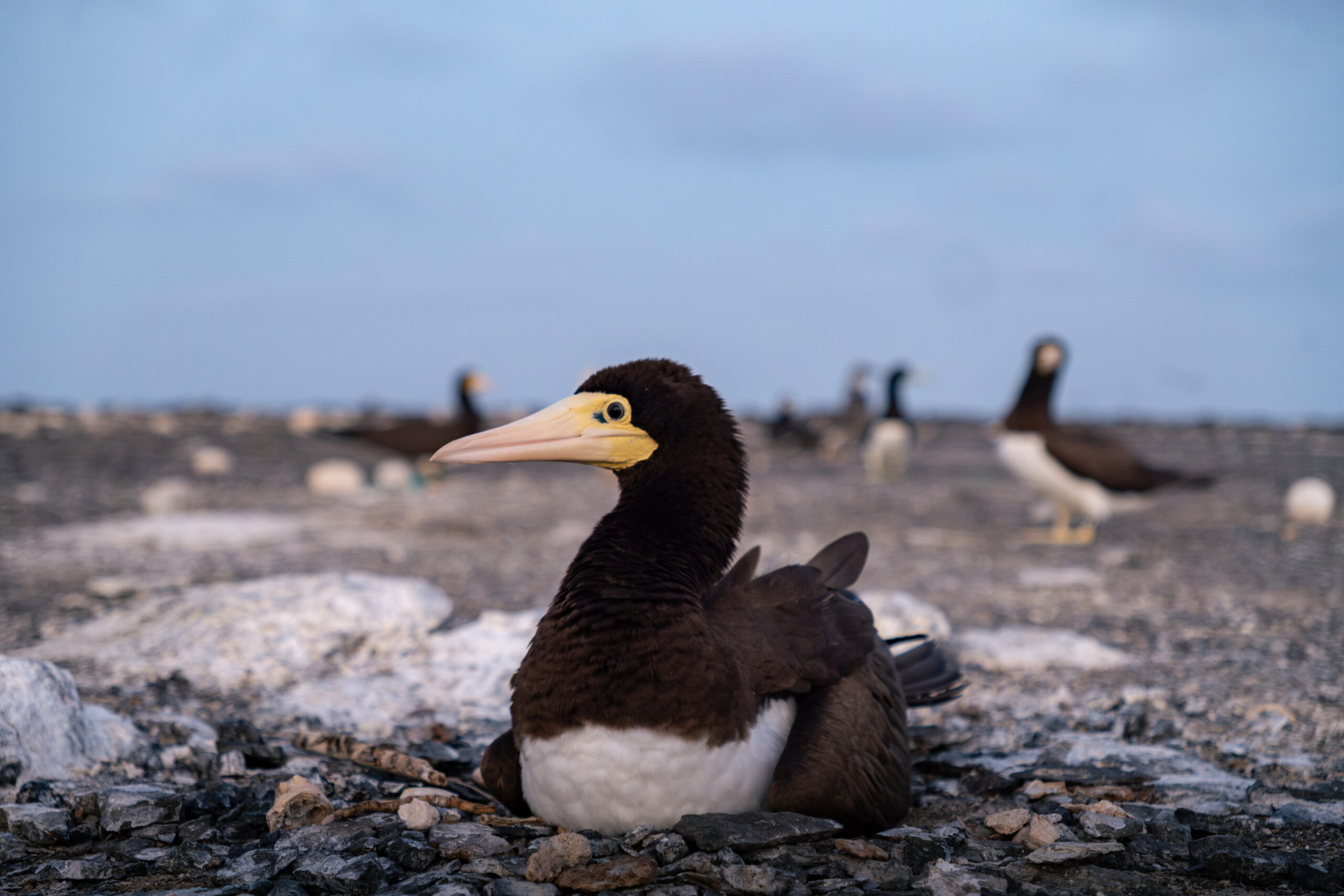 DSCF5790-Mejorado-NR