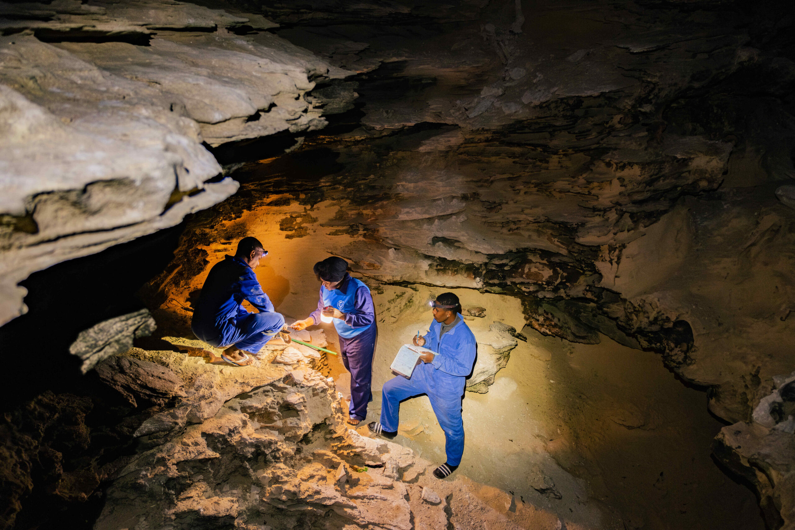 DSCF6423-Mejorado-NR-cmpr