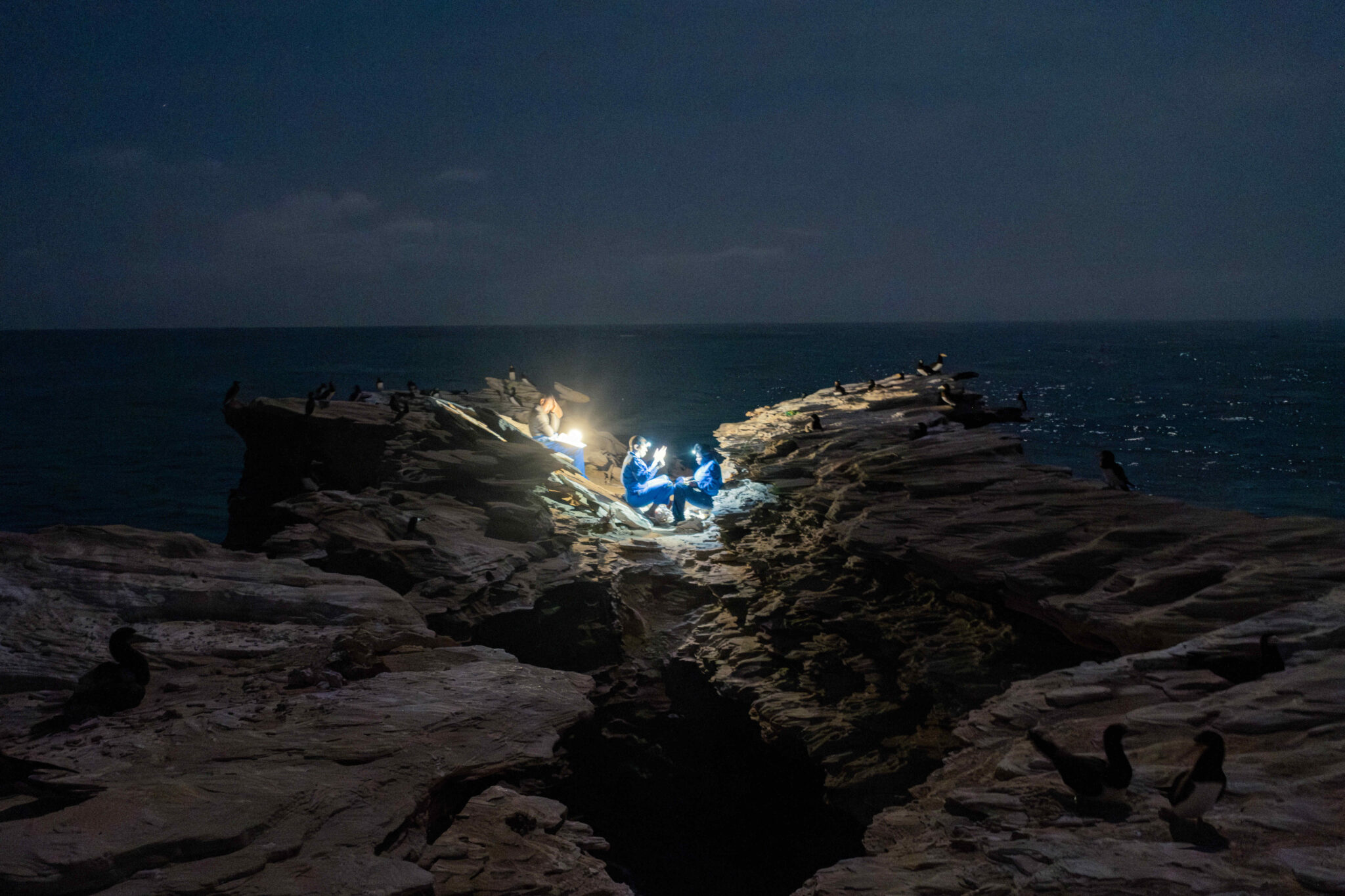 DSCF6506-Mejorado-NR-cmpr