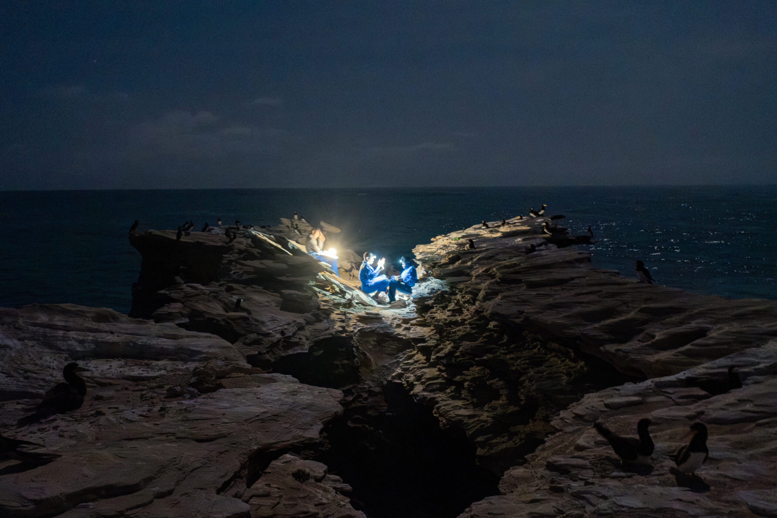 DSCF6506-Mejorado-NR