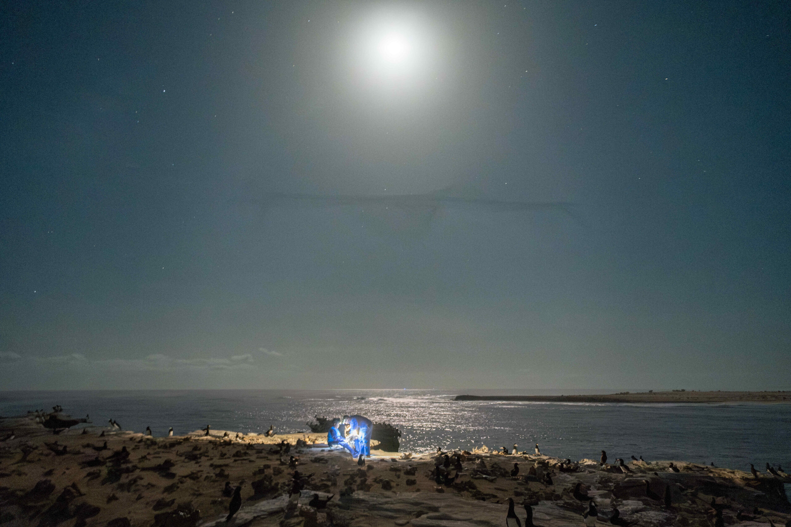 DSCF6720-Mejorado-NR-cmpr