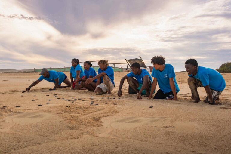 WhatsApp Image 2025-11-12 at 08.40.15