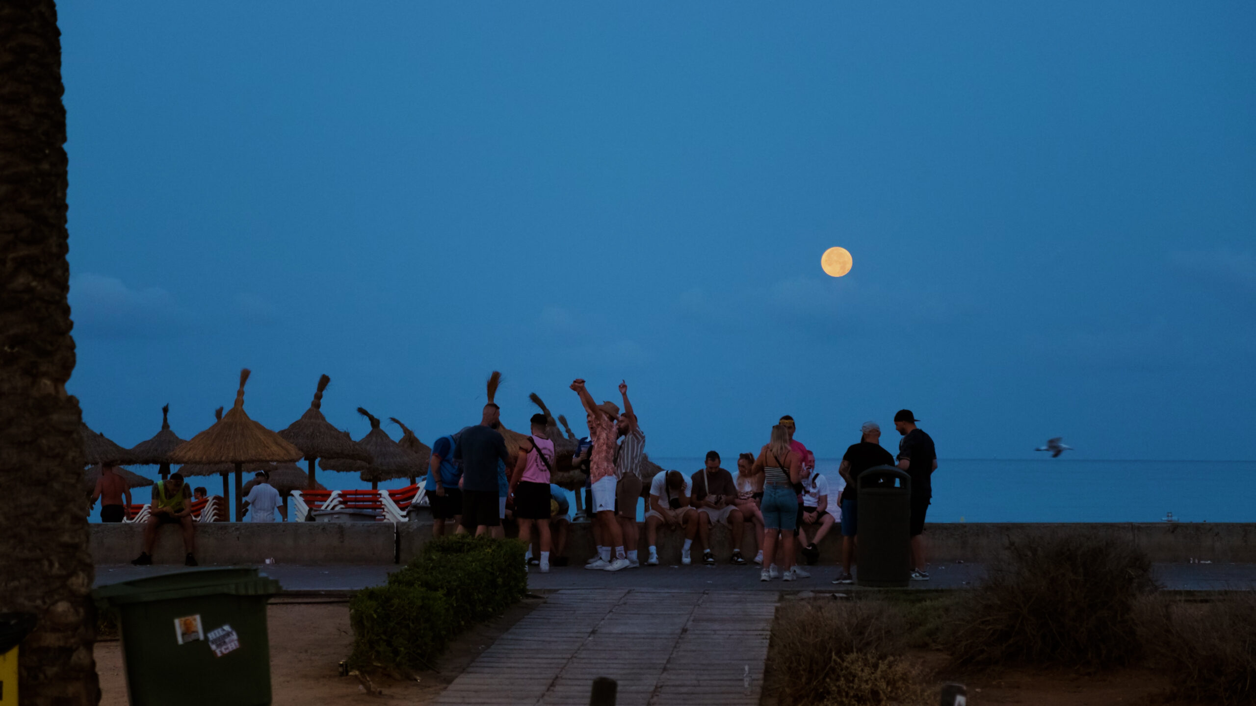 DJI_0995.00_17_39_05.Imagen fija001