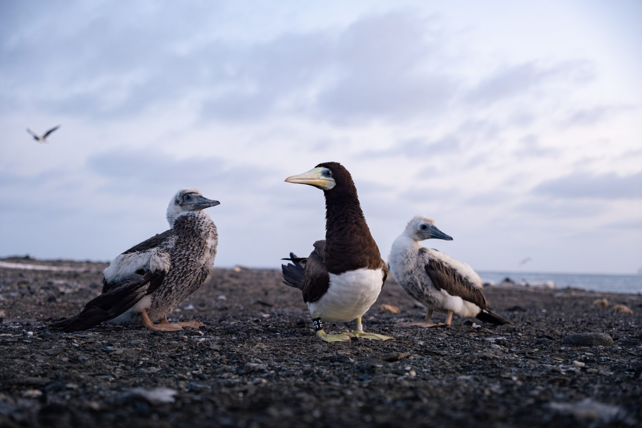 DSCF5776-Mejorado-NR