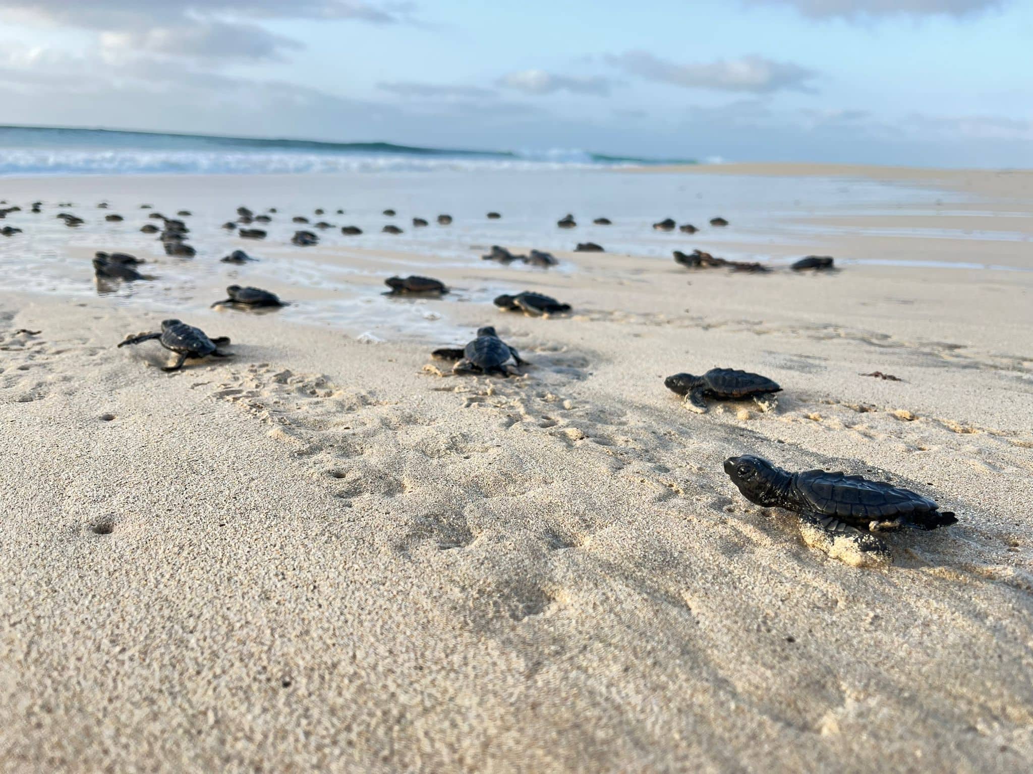 received_1171937873740586